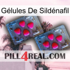 Gélules De Sildénafil 14